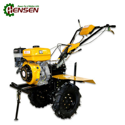 Çok fonksiyonel benzin temizleyicisi 170F Motor benzin yetiştiricisi